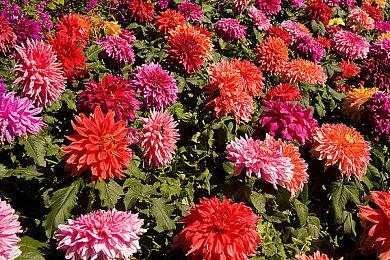 《暗黑破坏神4》压力测试：5月13日3点至15日3点