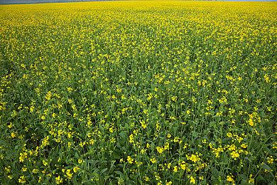 Surgent Studios公布新作——第一人称恐怖游戏《遗映》开启一场娱乐行业的心理恐怖之旅